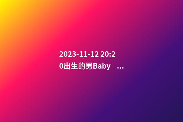 2023-11-12 20:20出生的男Baby，禚姓八字起名的來